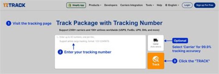 How do I track my Dominos order?
