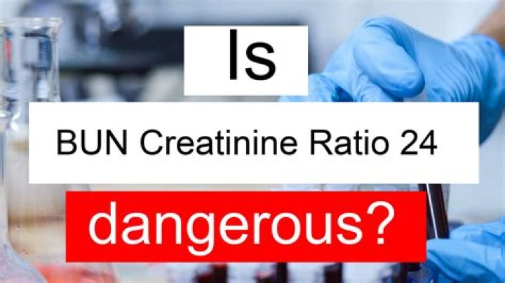 Is BUN creatinine ratio 24 high?