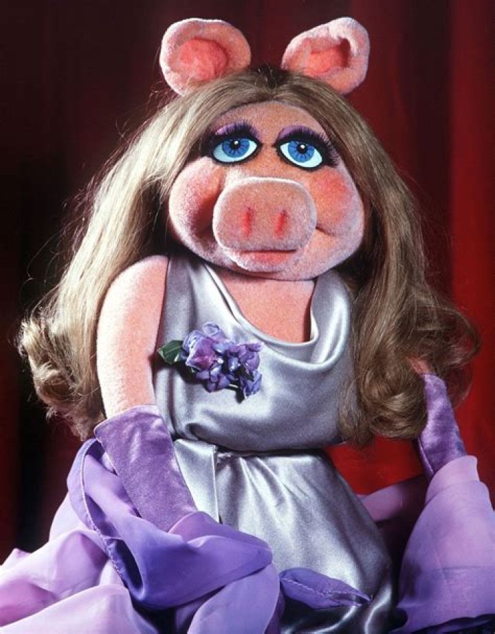 Is Miss Piggy a pig?