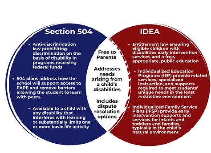 What are related services under IDEA?