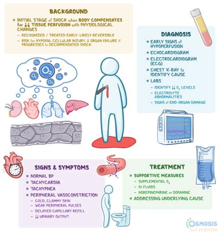 What happens during Prehension?