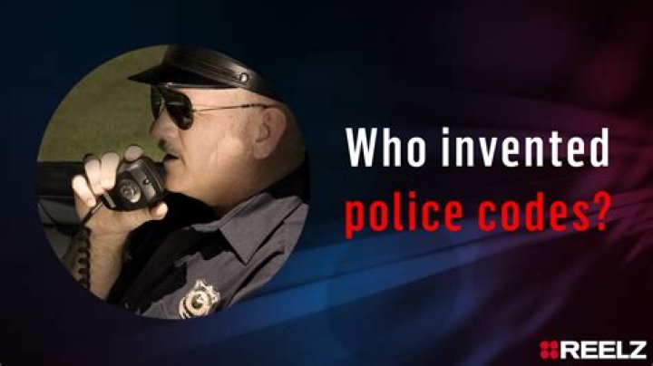 What is a 21310 police code?