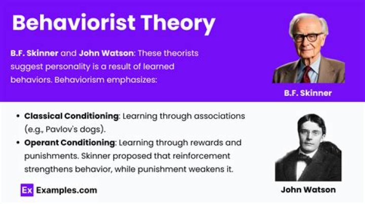 What is behavioristic theory?