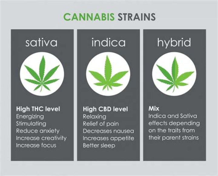 What is hybrid weed?