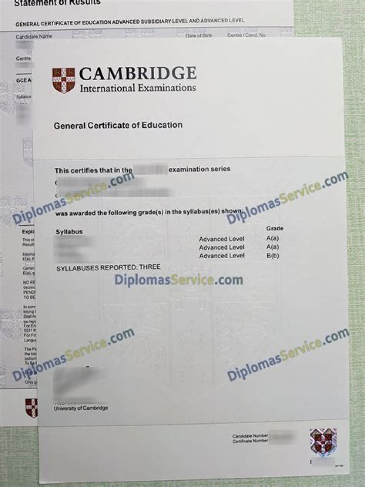 What is the Cambridge syllabus?
