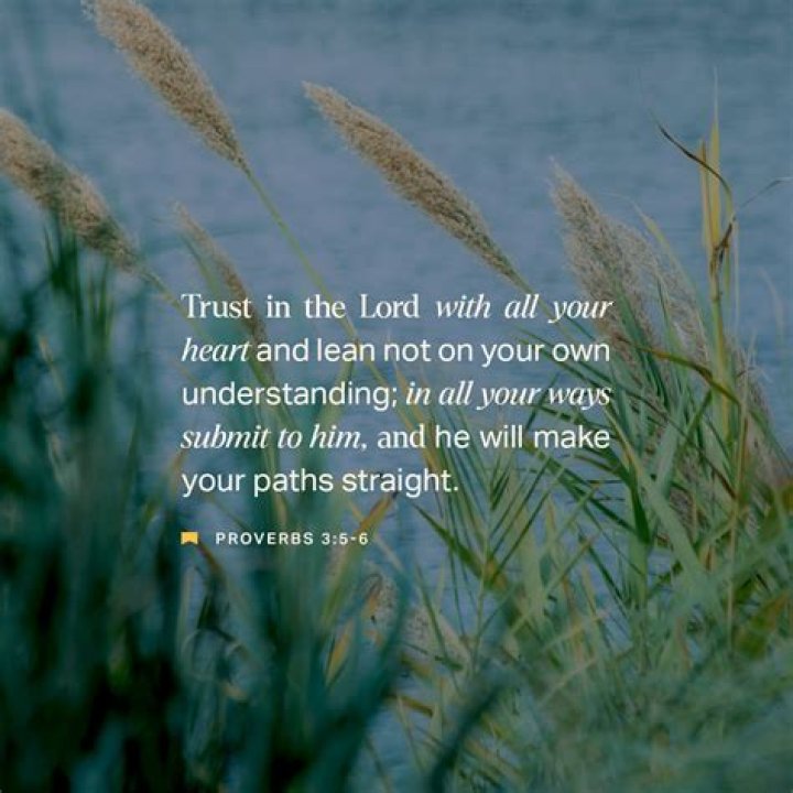 What is the meaning of Proverbs 3 verse 7?