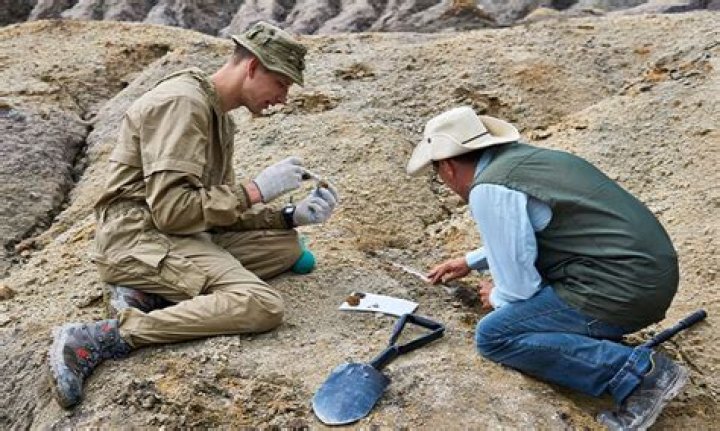 What is the starting salary of archaeologist?