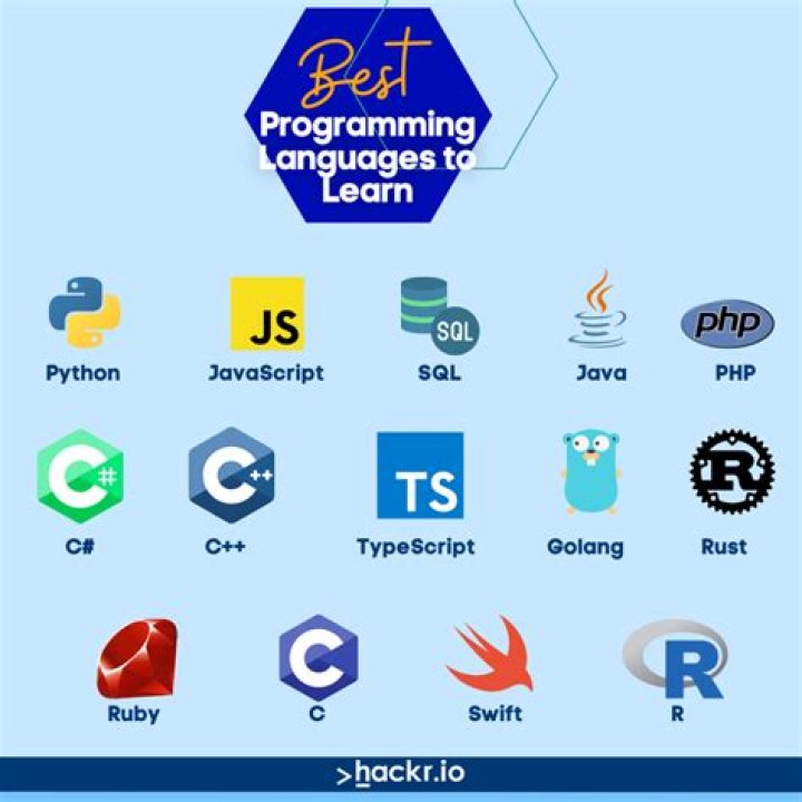 What programming language should I start with beginner?