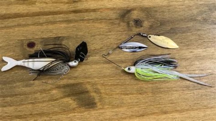 When should you use a chatterbait?