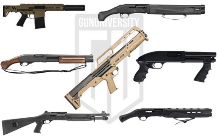 Who makes shotguns with hammers?